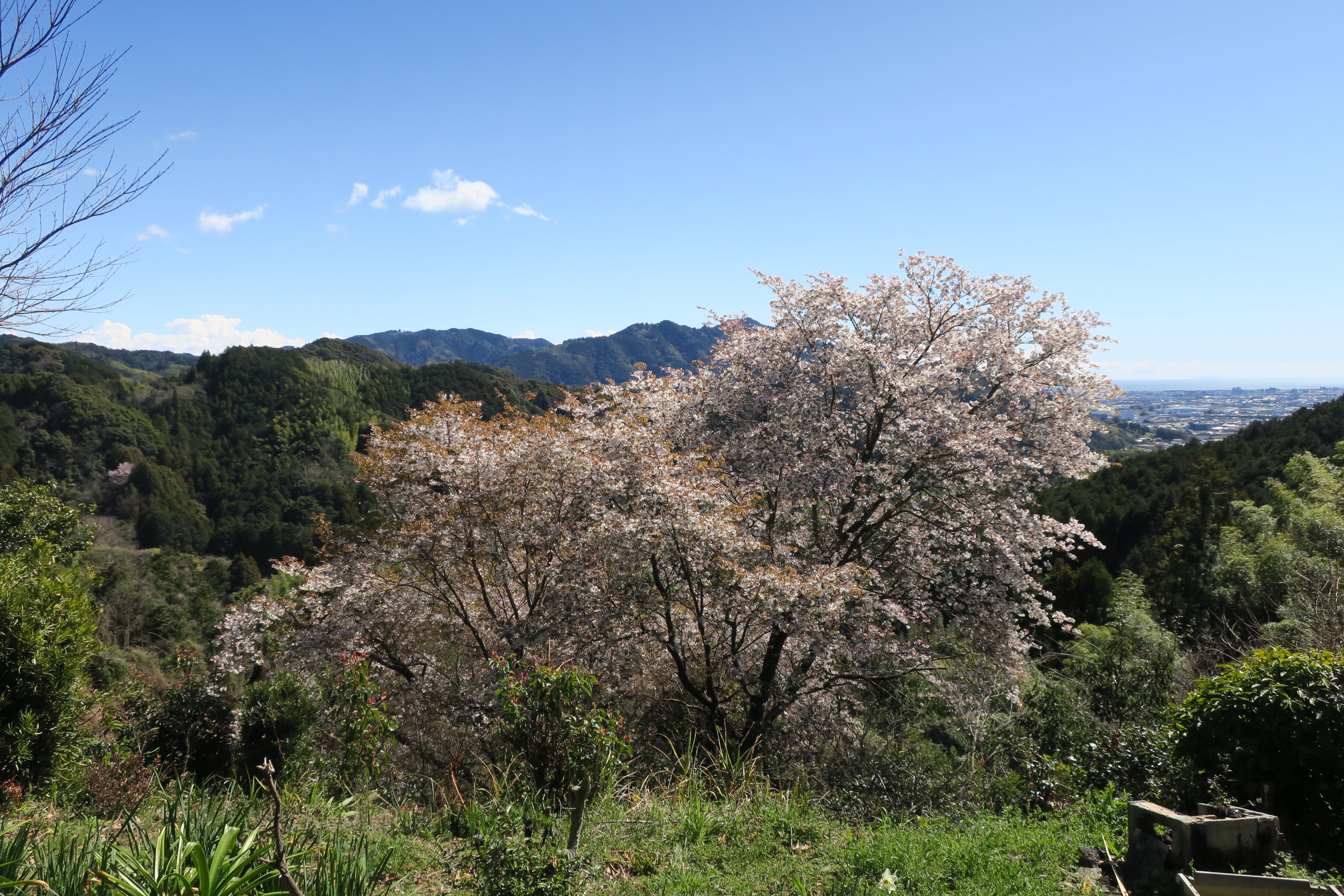 Nature photography sample 1