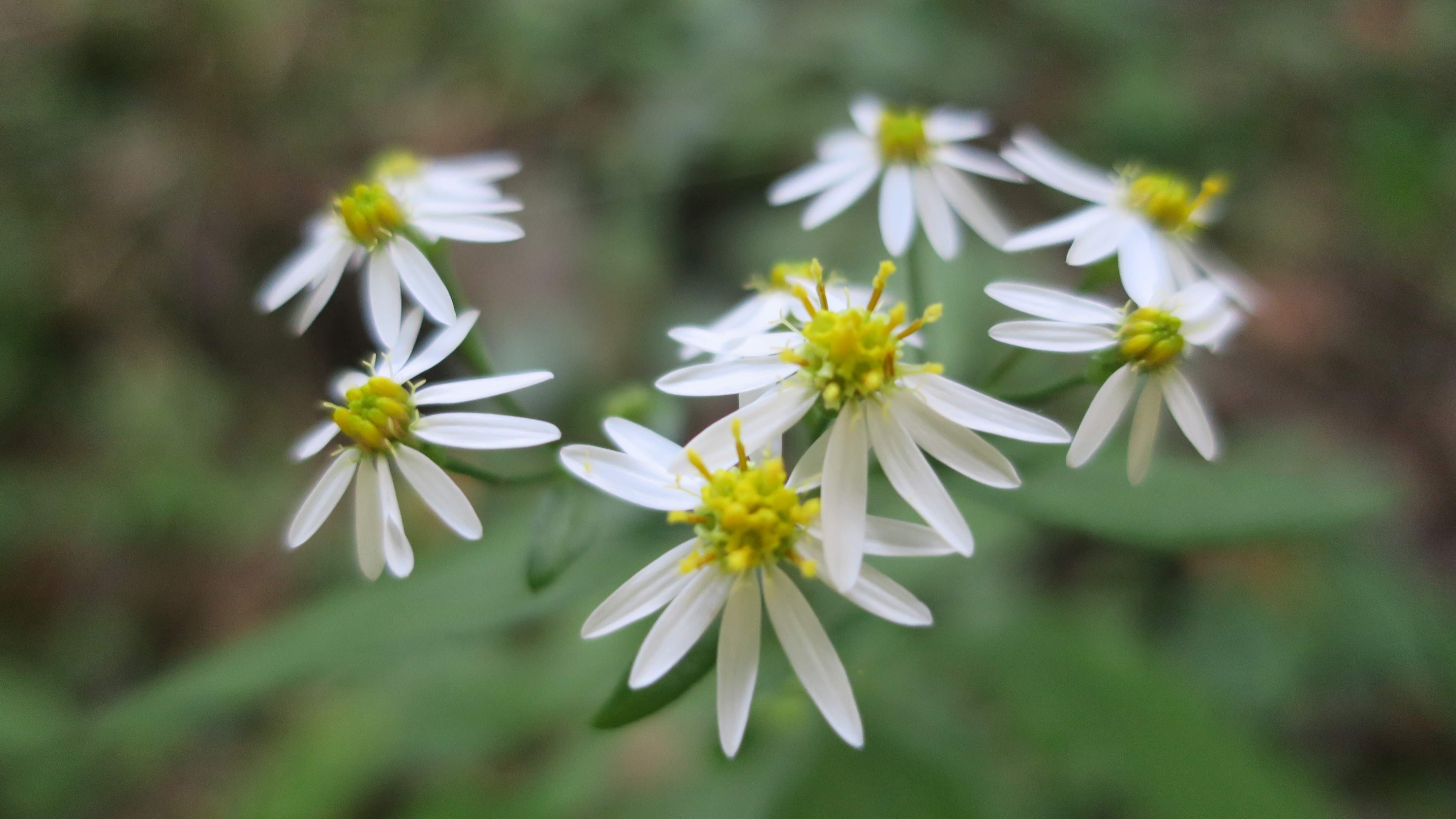 Nature photography sample 2